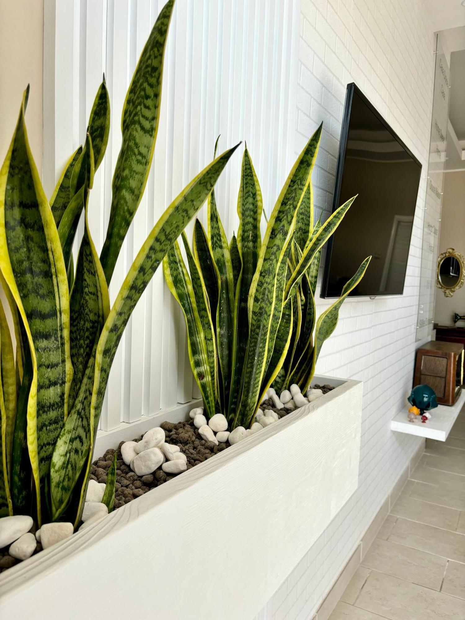 Nardò B&B Casa Dolce Casa מראה חיצוני תמונה